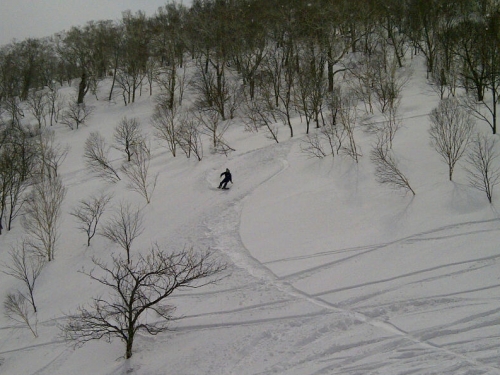 2013041804powder.jpg