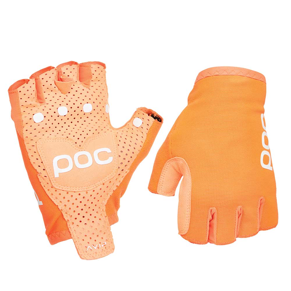 AVIP GLOVE SHORT